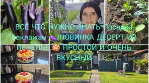 VLOG 🇩🇪 ЖИЗНЬ В ГЕРМАНИИ/Наша Дача 🏕 КАК ПРАВИЛЬНО СОЖАТЬ БАКЛАЖАНЫ 🍆Уборка и Полив/НОВИНКА ‼️🍧