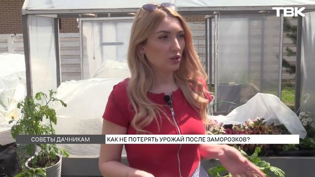Что делать, чтобы не потерять будущий урожай из-за капризов погоды? смотреть онлайн