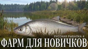 КАК НАФАРМИТЬ МНОГО СЕРЕБРА! ЛОВИМ УКЛЕЙКУ, ГДЕ ЛОВИТСЯ УКЛЕЙКА ТРОФЕЙ УКЛЕЙКА! РР4 ГАЙД ДЛЯ НОВИЧКА