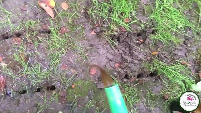 Садово-огородные дела в июне смотреть онлайн