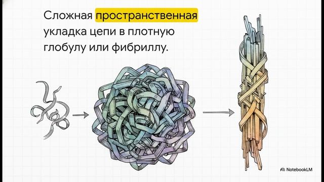 Биология 10 класс § 9 Белки Состав и структура белков