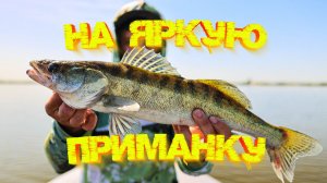 МИКРОДЖИГ с лодки 👍💪 Какую приманку выберет СУДАК? 😉