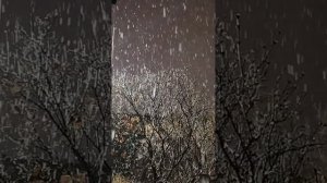 Спокойной ночи 1