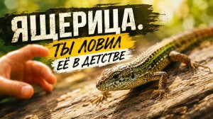 Ящерица! Та Самая, Которая Оставляет Хвост в Руке.