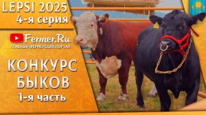 🐃Как выбрать быка абердин-ангус и герефорд. Эксперт из США. Показ мясного скота на выставке в Lepsi