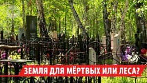 Живым отказали, мёртвых прибавилось: почему закрытое кладбище под Иркутском продолжает расти