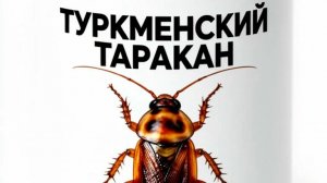 ОБЗОРНЫЙ СОБИРАТЕЛЬ НОВОСТЕЙ И СЛУХОВ НА RUTUBE