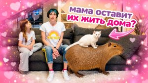Тайна раскрыта! Бьянка прятала капибару, но мама всё увидела. Детское видео