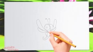 НАСЕКОМЫЕ для детей - развивающие мультики про животных