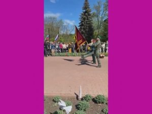 9 мая 2026