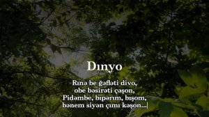 Aida İsayeva - Dınyo