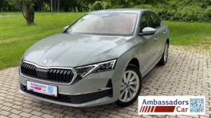 Octavia 2.0 4WD Selection в цвете Steel