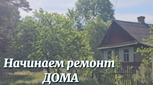 Детство на ХУТОРЕ проходит в труде Начинаем ремонт ДОМА В СОСНОВОМ ЛЕСУ [get.gt]