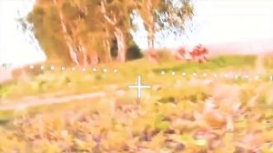 Минусовка бандерлогов в Сумской области