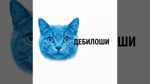 $kотина 67 - Дисс на Скорбоши.