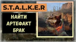 S.T.A.L.K.E.R.2 Сердце Чернобыля Где найти артефакт «Брак» локация Горелый лес