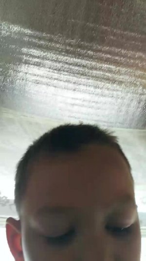 Раян на даче