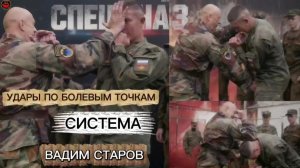 Удары по болевым точкам и нервным центрам Вадим Старов Рукопашный бой Система Спецназ