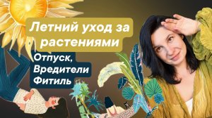 Летний уход за комнатными растениями