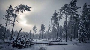 ТАЙГА. БЕРЛОГА ВЕДЬМЫ-ЛЮДОЕДА в Тайге. ОХОТНИЦА ИЗ ТАЙГИ, КОТОРАЯ ЕЛА  ЛЮДЕЙ! Таёжная Мистика.