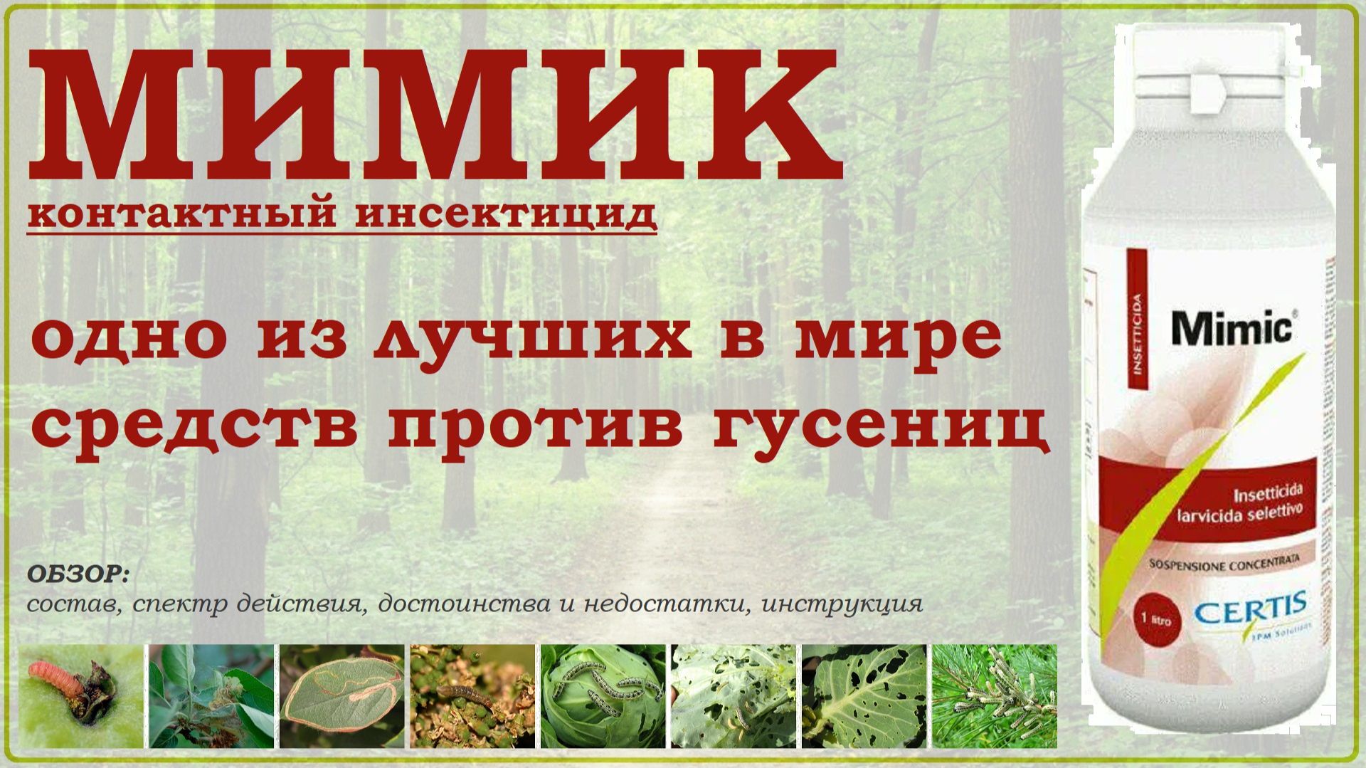 Мимик – одно из лучших в мире средств против различных гусениц. Обзор зарубежного инсектицида