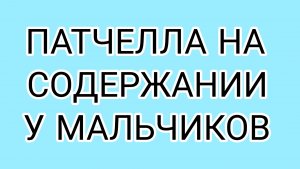 ДОМОСЕР злорадствует! ВОЛОГЖАНКЕ не шлют донаты