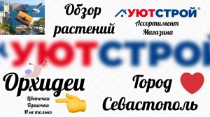 Обзор растений, орхидей, сопутствующих товаров магазине УютСтрой город Севастополь