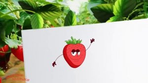 ФРУКТЫ и ЯГОДЫ 🥝🍓🍉 для детей - развивающие мультфильмы для самых маленьких - учим слова