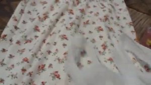 По пути в Hobby Lobby Burlington TJ Maxx Michaels от Aldi Dollar Tree Paradise Nails