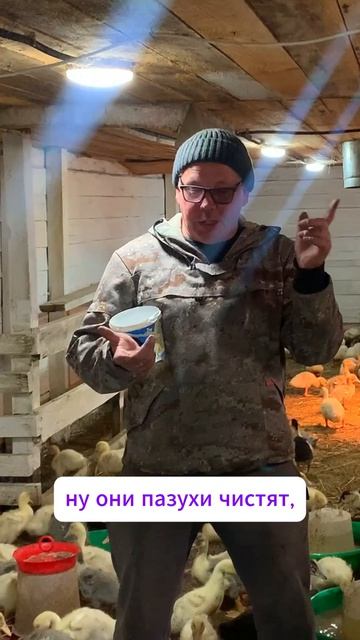 УТКА -это НЕ ПРО ПОПИТЬ! 🚫🦆 Чисто КАЙФ!