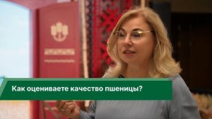 Госмониторинг зерна: как качество влияет на прибыль и экспорт, рассказала Инна Зайченко