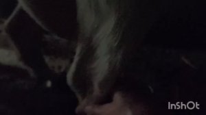 Ох и рожа  , солнышко меня любит. Козы огород и всё о посадках.