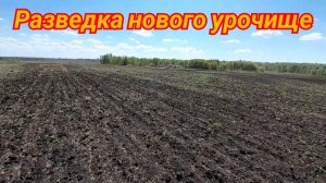 Еду на дальние расстояния поиск распаханного урочище