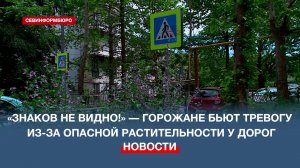 «Знаков не видно!» — горожане бьют тревогу из-за опасной растительности у дорог