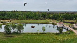 Крыпецкие коты и сретенские паломники #паломничество