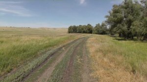 Задонье. Калачёвский район. Волгоградская область