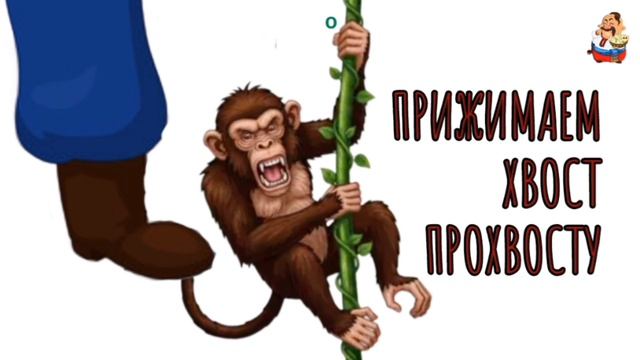 ПРИЖИМАЕМ ХВОСТ ПРОХВОСТУ смотреть онлайн