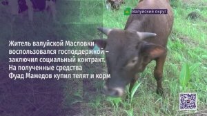 Житель валуйской Масловки воспользовался господдержкой - заключил социальный контракт