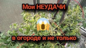 Мои НЕУДАЧИ в огороде и не только.