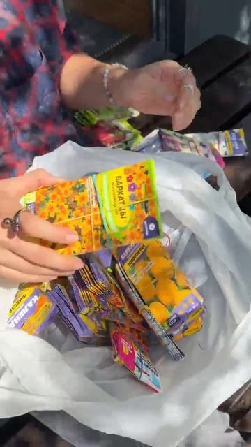 ЭТИ ЦВЕТЫ ВЫРАСТУТ БЕЗ РАССАДЫ