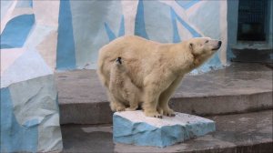 Это что же такое! Мама молочка мне не даёт, поиграть не хочет. А я так хочу играть! 25.05.2026