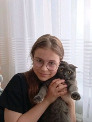 учим тренд