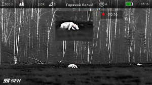 Охота на медведя с тепловизор SFH VARG H50RL PRO