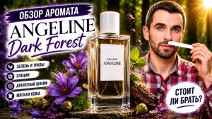 Древесный аромат с мистическим настроением | Обзор Аромата - ANGELINE Dark Forest
