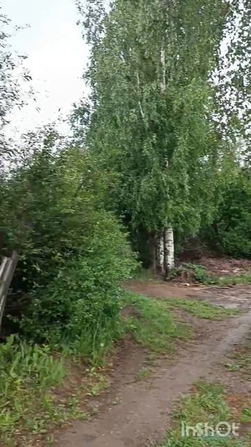 12868250 смотреть онлайн