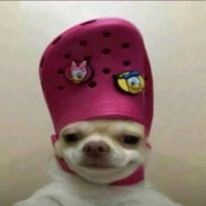 Pepe Ba ta фа