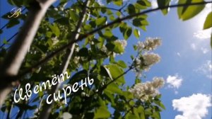 Доброе утро, хорошей пятницы!!!☕🥰👍🎶🎶🎶