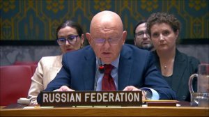 Выступление В.А.Небензи в СБ ООН по Украине