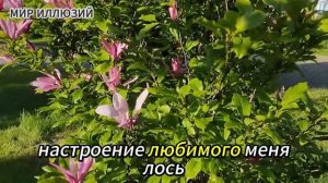 Жена отдала все деньги мужу до последней копейки....