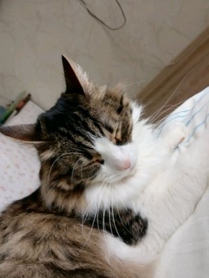 Мы с кузей играем